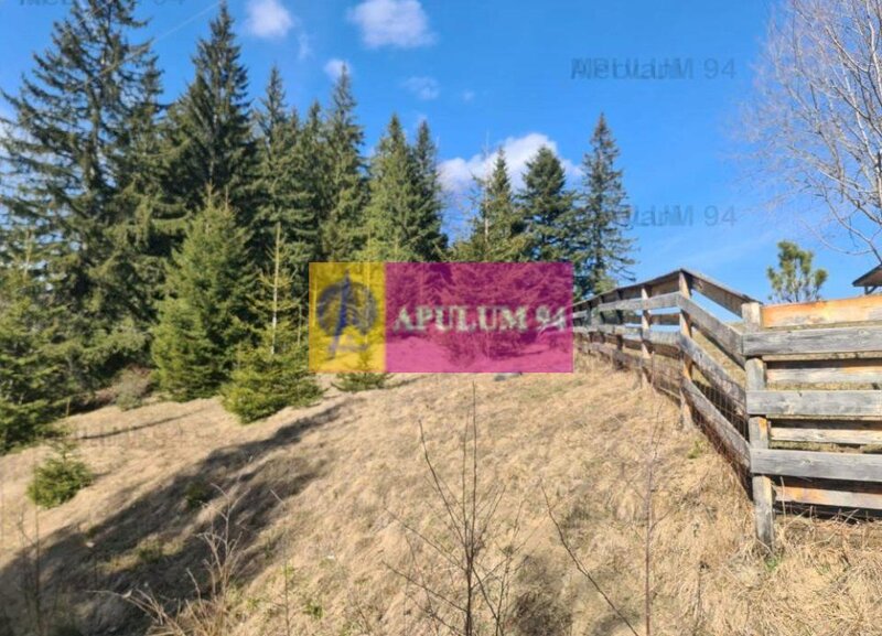 Teren de vanzare in Predeal - Zona Forban