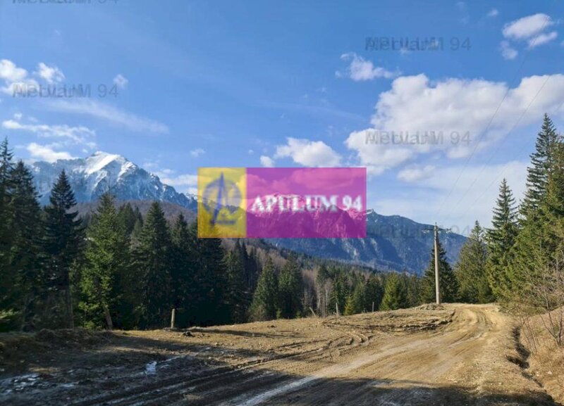 Teren de vanzare in Predeal - Zona Forban