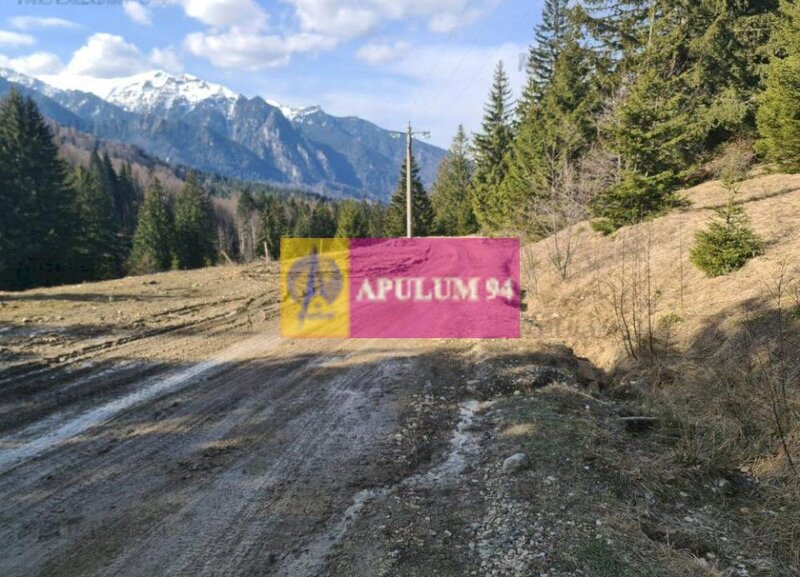 Teren de vanzare in Predeal - Zona Forban