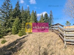 Teren de vanzare in Predeal - Zona Forban